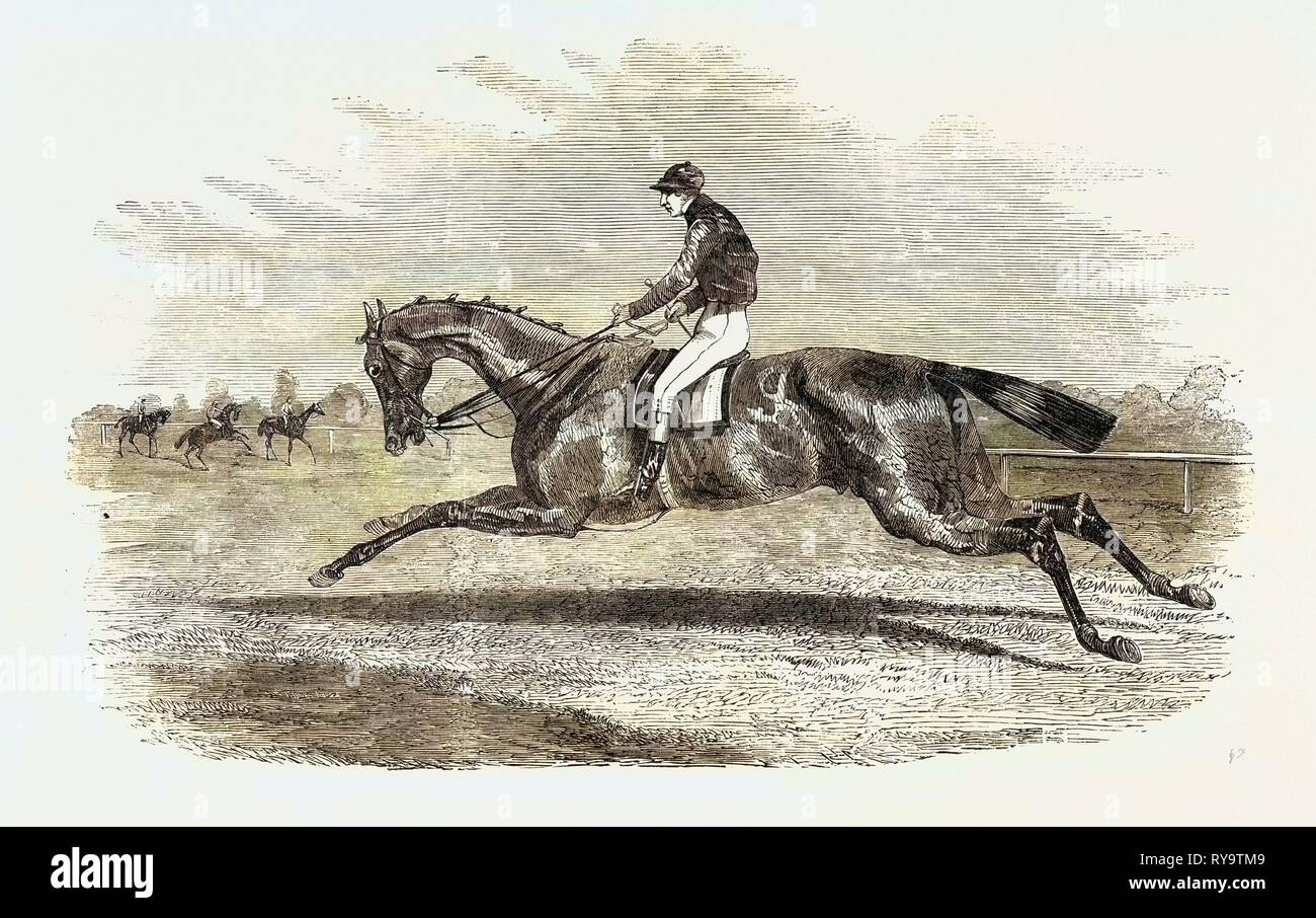 S.A. Nichol 'Newminster", Gewinner des Großen St. Leger Stakes, in Doncaster, 1851 Stockfoto