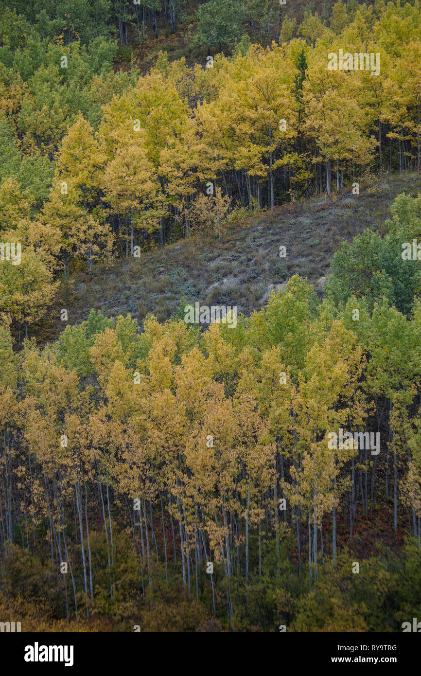 Whitehorse Whitehorse, Yukon Territory, Kanada Stockfoto