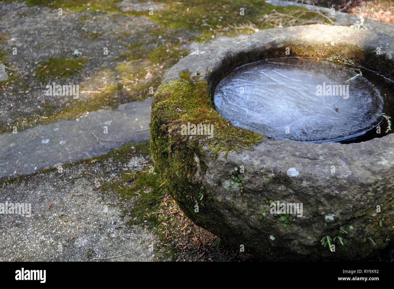 Gefrorenes Wasser in einem alten Rock Schale mit Moos und Gras Stockfoto