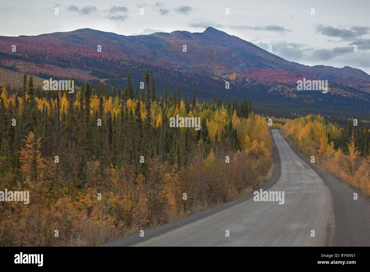 Tombstone Territorial Park, Northern Region, Yukon Territory, Kanada Stockfoto
