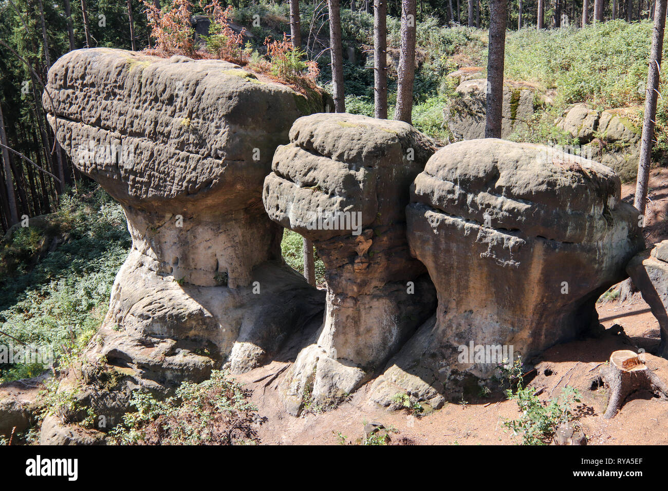 Felsen von Gnome auch Felsbrocken der Elfen Original in polnischer Sprache Głazy Krasnoludków - Natur bewahren Der bizarren Felsformationen im Polen Stockfoto