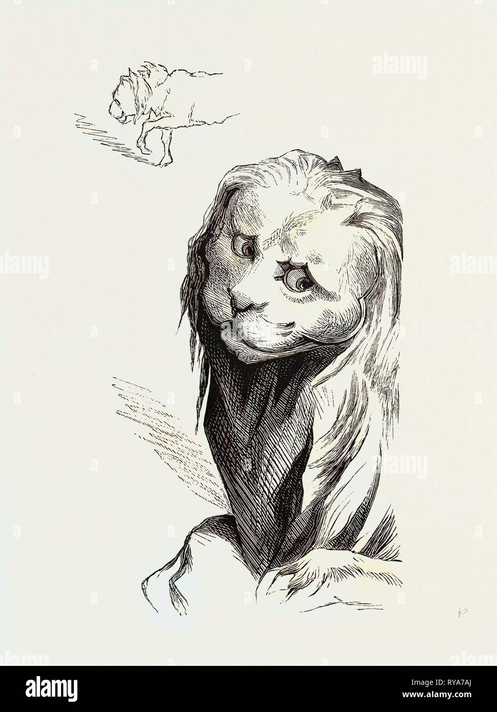 Ein mittleres Alter Löwe Stockfoto