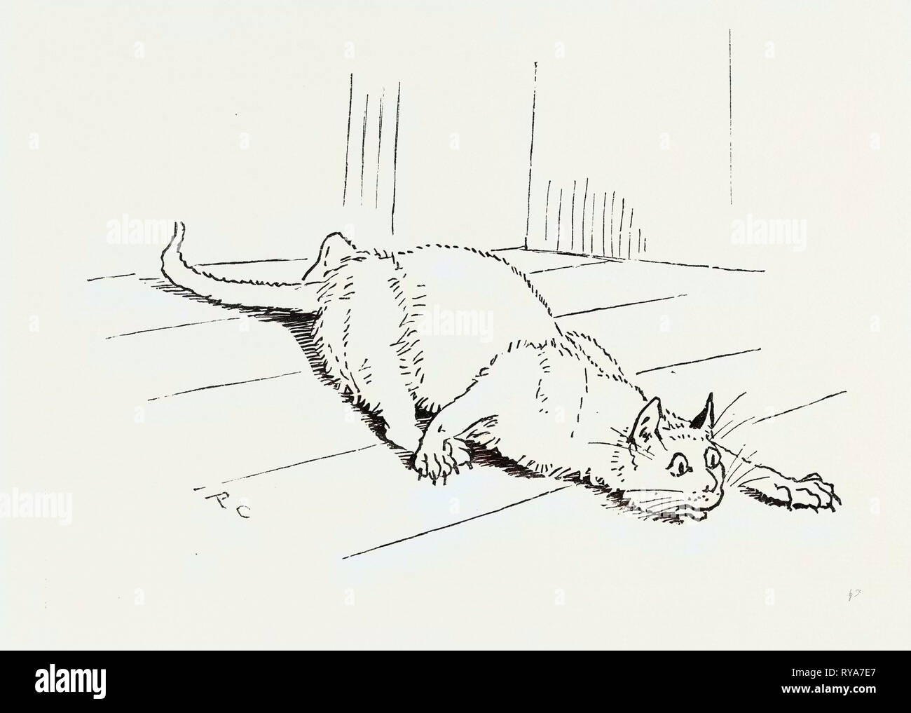 Die Katze, die Ratte, 19. Jahrhundert Ate Stockfoto