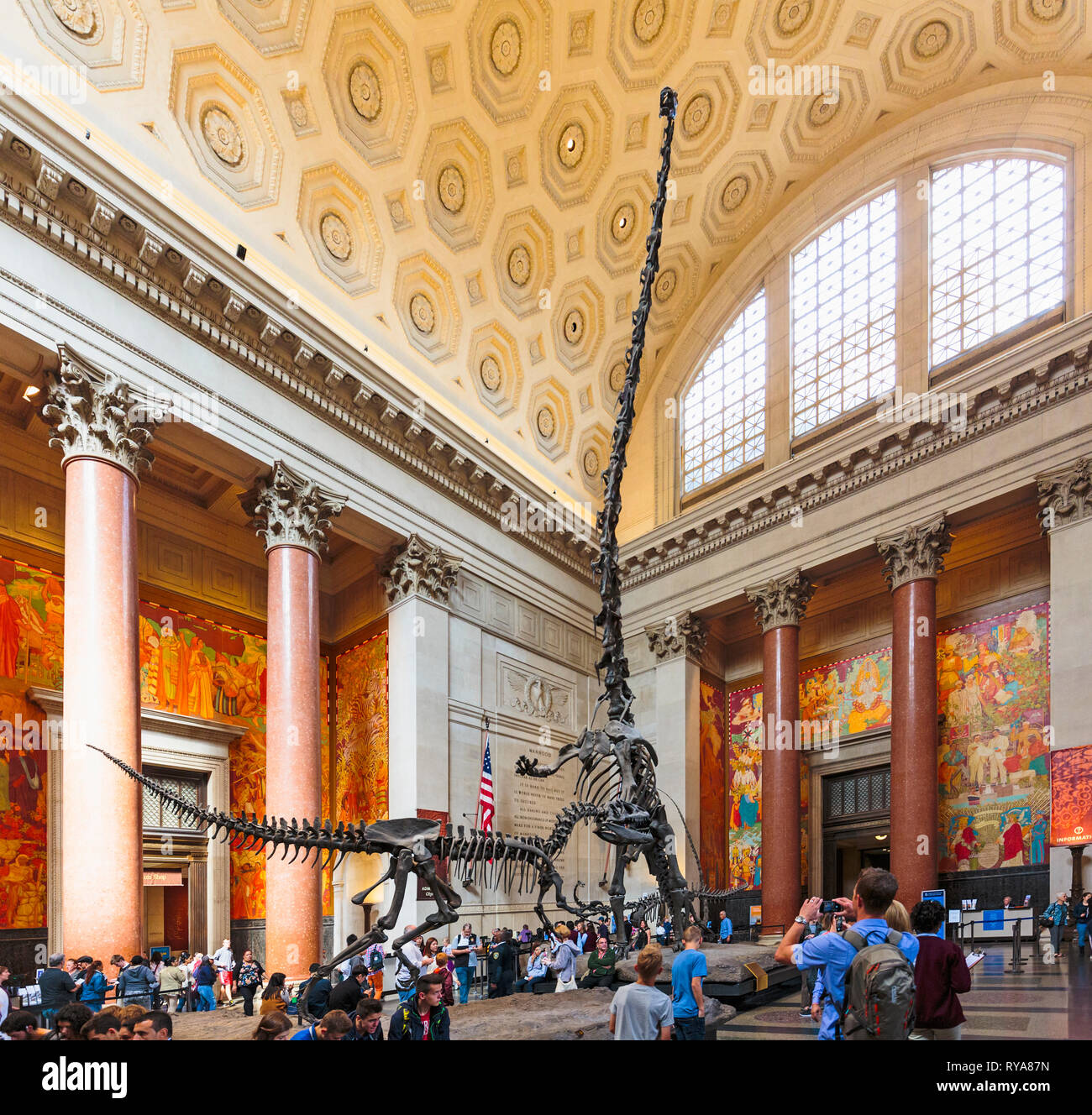 Theodore Roosevelt Rotunde, American Museum of Natural History. Zwei Dinosaurier kämpfen. Ein barosaurus erzieht seine Jungen von einem angreifenden zu schützen. Stockfoto