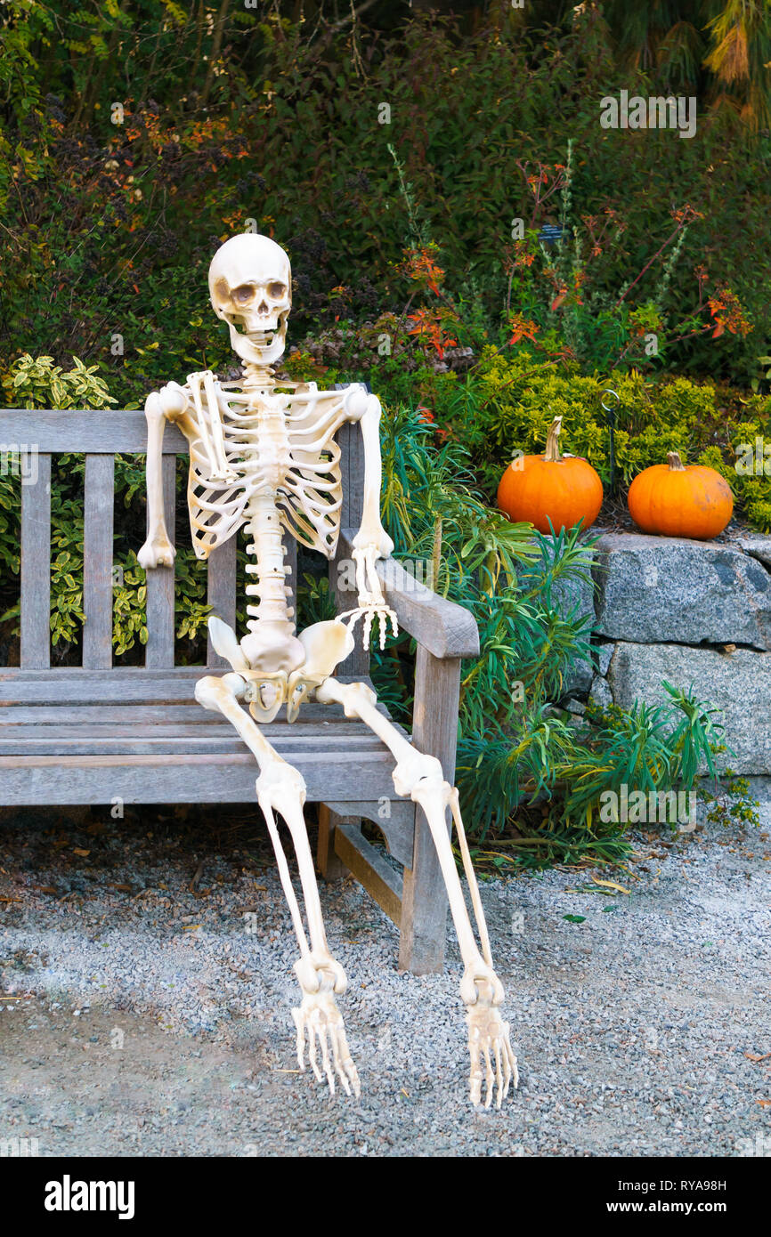 Skelett des Menschen sitzen auf der Holzbank im Park. Halloween. Stockfoto