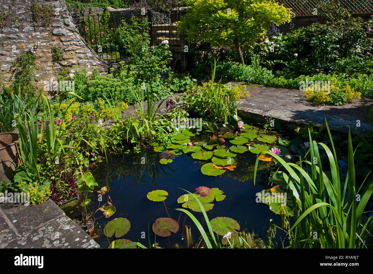 Teich und Wasserspiele in Englischer Garten Stockfoto