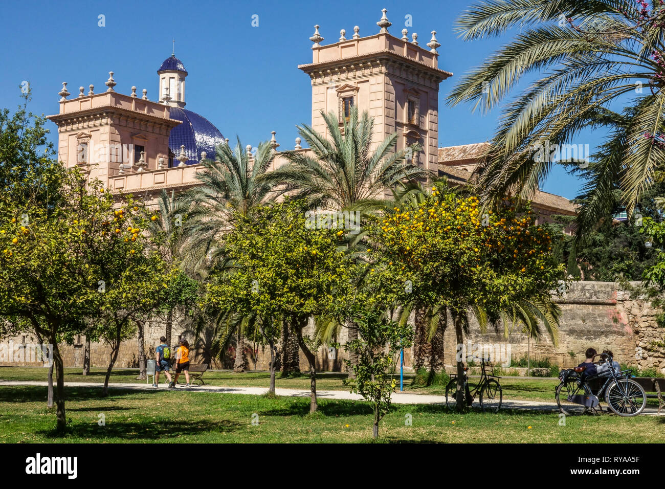 Valencia das Museo de Bellas Artes in Valencia, Ansicht von Turia Park Gardens, Spanien Stockfoto