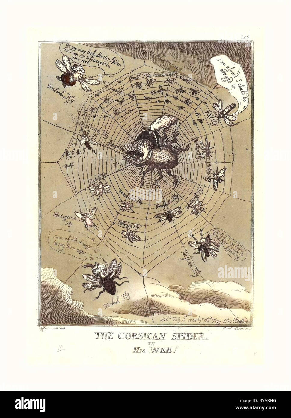 Die Korsische Spinne in seinem Netz, veröffentlicht 1808, Hand-Colored Ätzen, Rosenwald Collection Stockfoto Die Korsische Spinne in seinem Netz, veröffentlicht 1808, Hand-Colored Ätzen, Rosenwald Collection Stockfoto