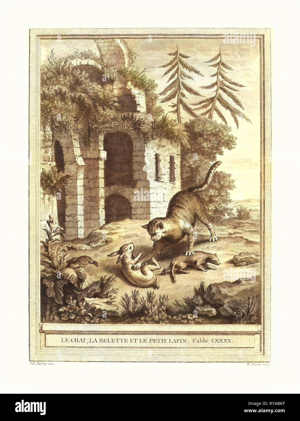 Martin Marvie nach Jean-Baptiste Oudry (Französisch, 1713 - 1813), Le Chat, La Balette Et Le Petit Lapin (die Katze, das Wiesel, das Kaninchen), veröffentlicht 1756, Hand-Colored Ätzen, Geschenk des Herrn und Frau George W. Ware Stockfoto Martin Marvie nach Jean-Baptiste Oudry (Französisch, 1713 - 1813), Le Chat, La Balette Et Le Petit Lapin (die Katze, das Wiesel, das Kaninchen), veröffentlicht 1756, Hand-Colored Ätzen, Geschenk des Herrn und Frau George W. Ware Stockfoto
