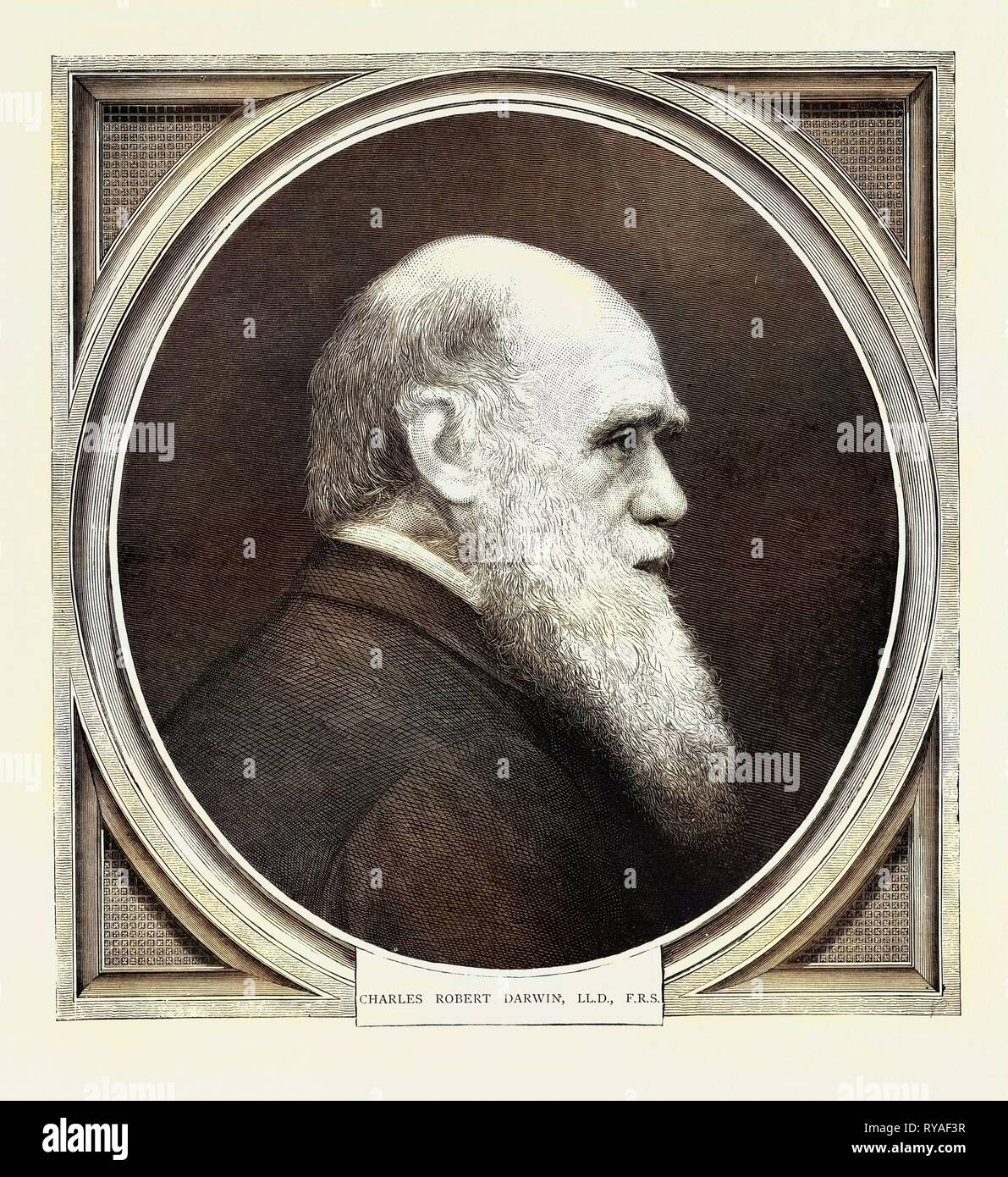 Charles Robert Darwin, Ll. D., F.R.S., geboren Februar 12, 1809, starb am 19. April 1882 Stockfoto