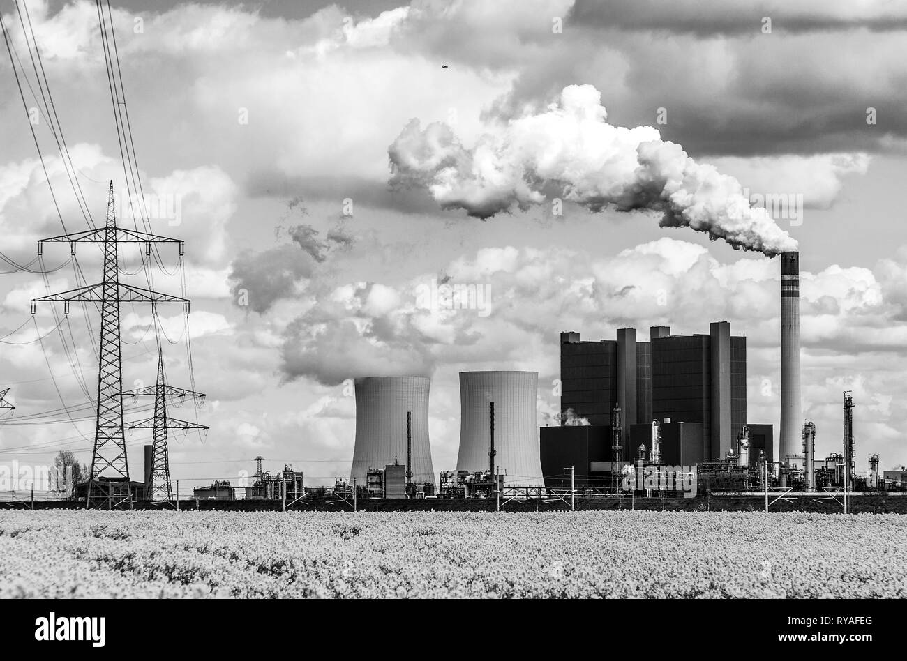 Das Braunkohlekraftwerk Schkopau mit Stromleitungen vor einem Rapsfeld Stockfoto