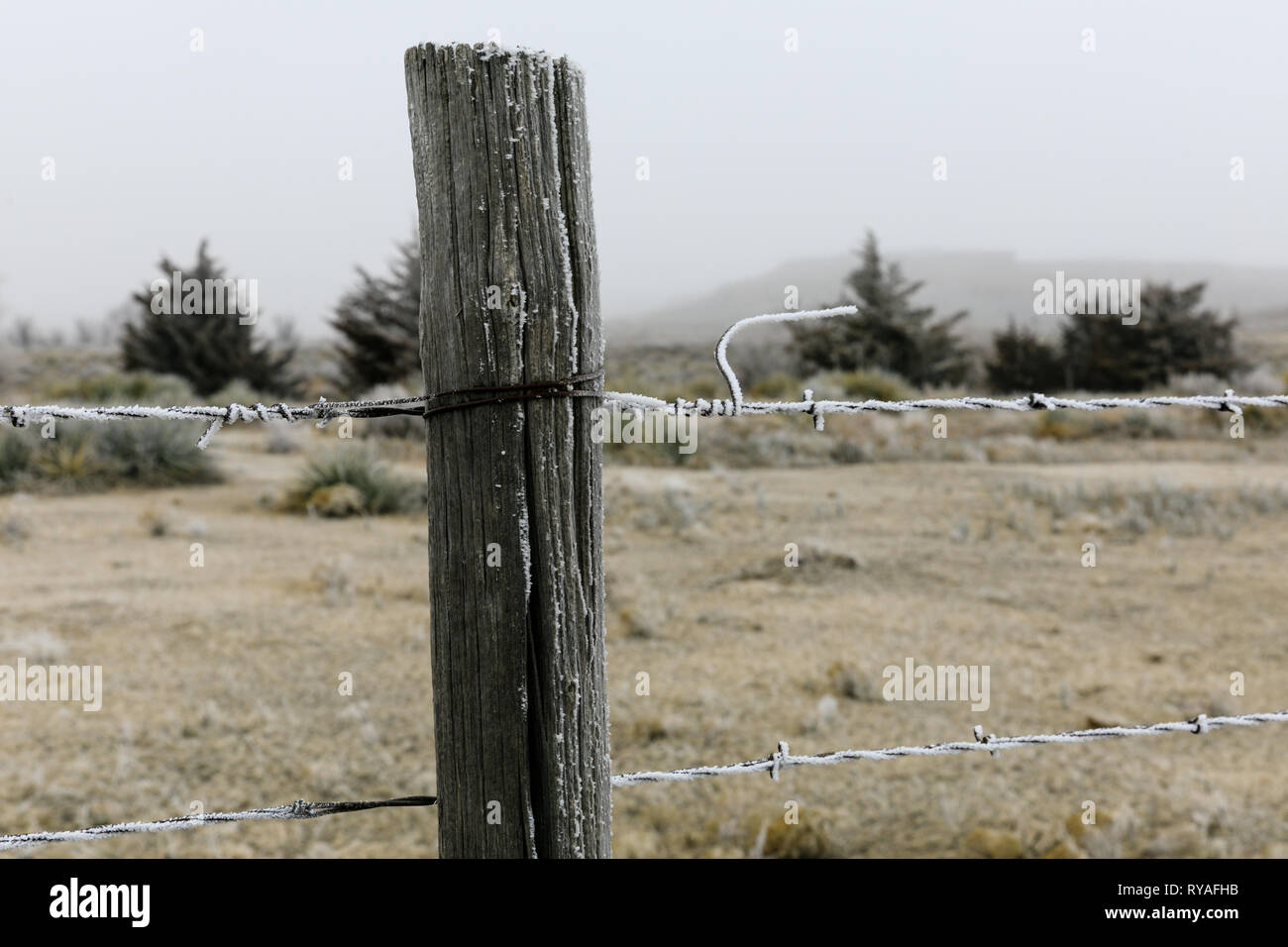 Nahaufnahme eines Post holding Stacheldrahtzaun der See Scott State Park im westlichen Kansas grenzt, Februar 2019 Stockfoto
