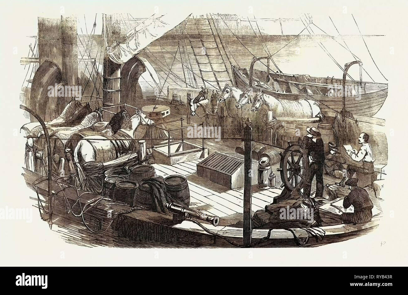 Liefer- Artillerie Pferde in Calais, für das französische Expeditionskorps auf der Ostsee 1854 Stockfoto