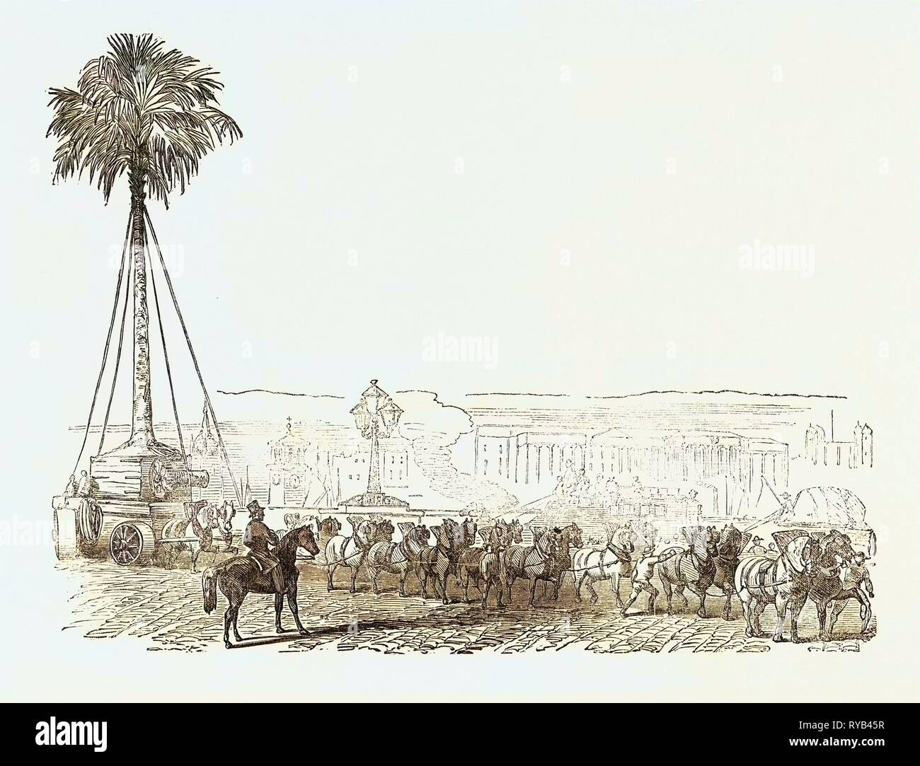 Ausbau eines gigantischen Palm-Tree von Fa. Loddiges" in Hackney auf den Crystal Palace, London, Großbritannien 1854 Stockfoto