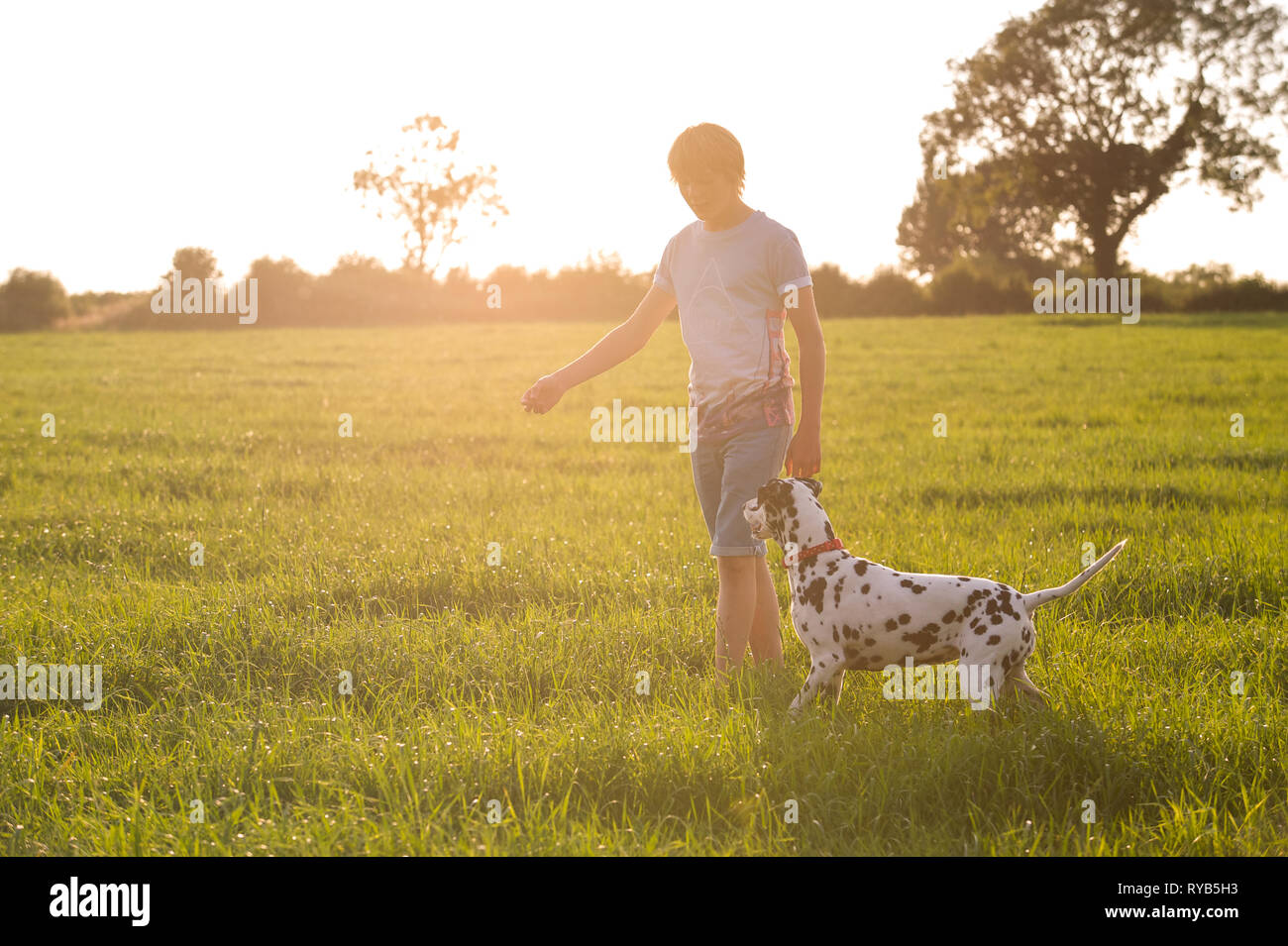 Ein Junge geht mit seinem Dalmatiner Hund in der offenen Landschaft an einem Sommerabend. Stockfoto
