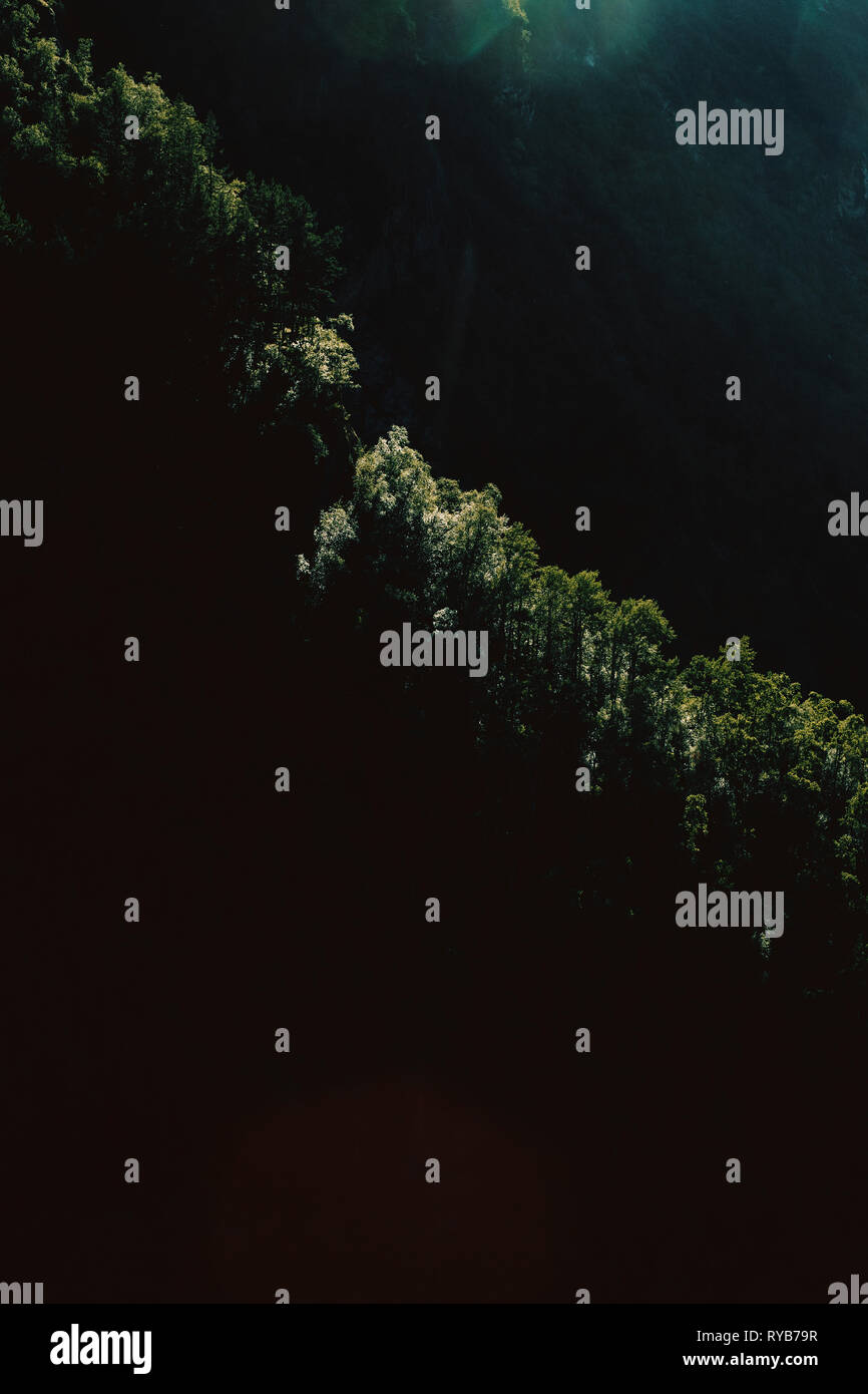 Eine minimale dunkle Bergrückenlandschaft aus einer Baumreihe, die auf einem Berghang hinterleuchtet ist - Baumlinie, Landschaft, Minimalismus - abstrakter Landschaftshintergrund Stockfoto