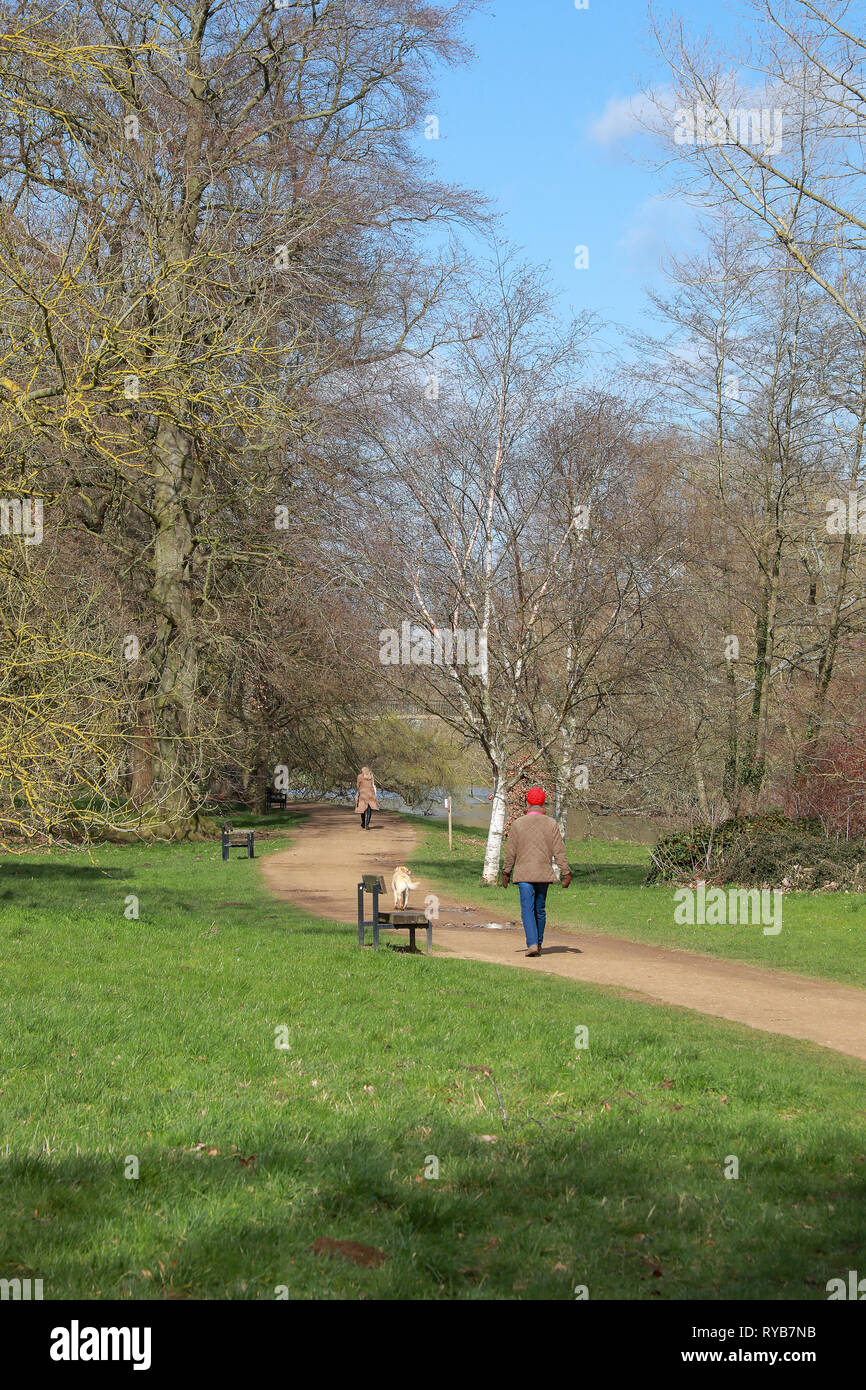 Lady in Red Hat walking Ihr Golden Labrador Schotterweg durch Fluss Cherwell mit Bänken in der Sonne in Oxford University Parks im Winter/Frühjahr Stockfoto