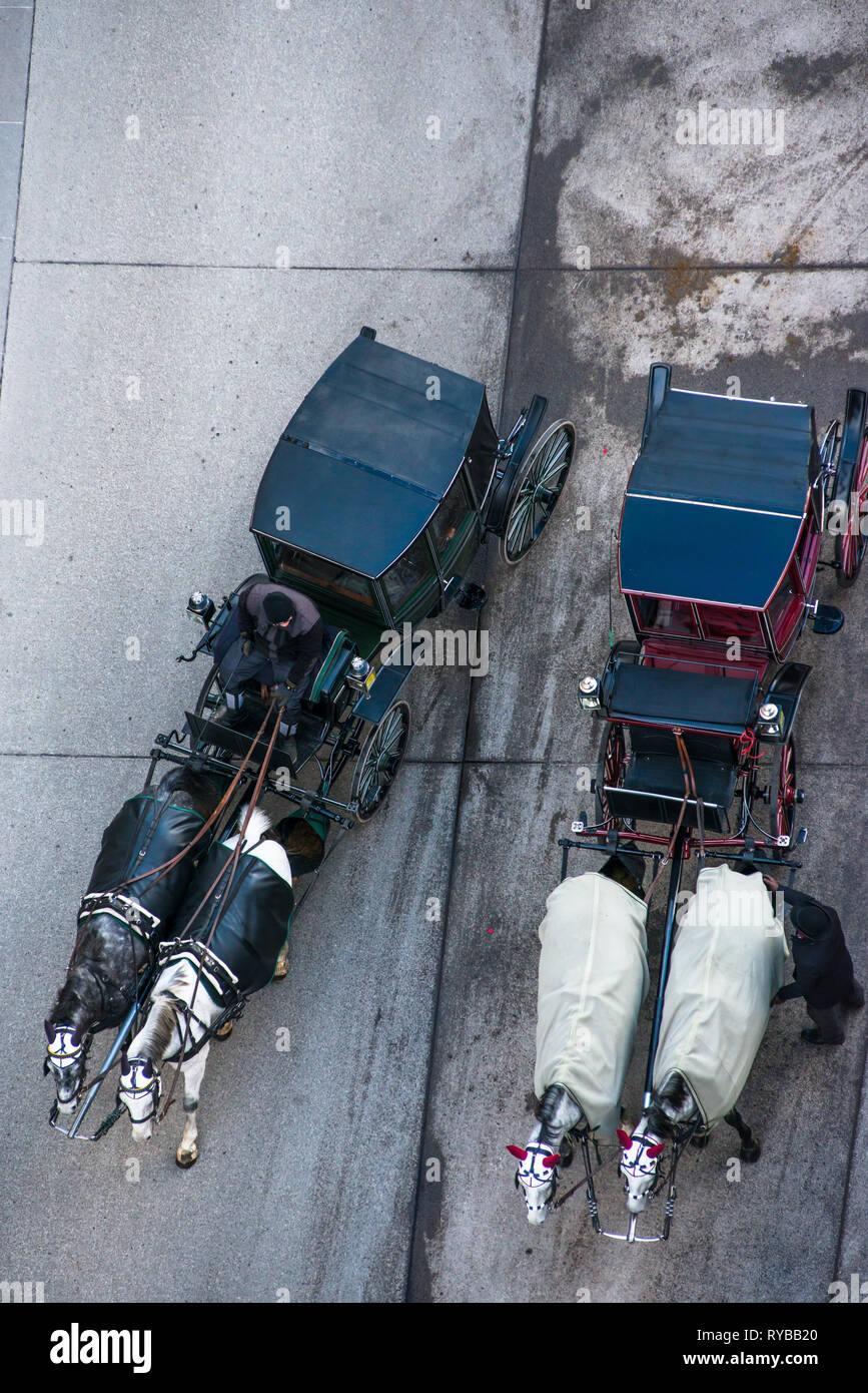 Wien Pferd und Wagen von der Oberseite des St Stephen's Cathedral North Tower, Österreich gesehen. Stockfoto