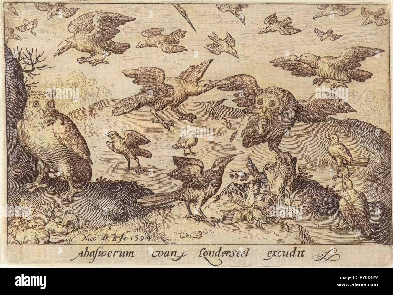 Eule mit Beute von anderen Vogel, Nicolaes de Bruyn, 1594 angegriffen Stockfoto