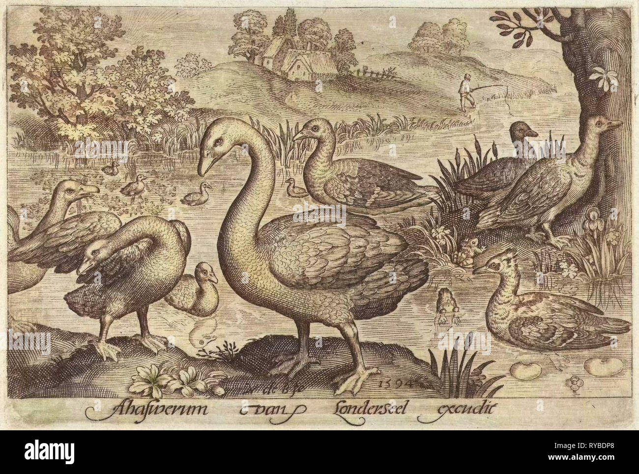 Swan und Gänse und Enten in der Nähe von Wasser, Nicolaes de Bruyn, 1594 Stockfoto