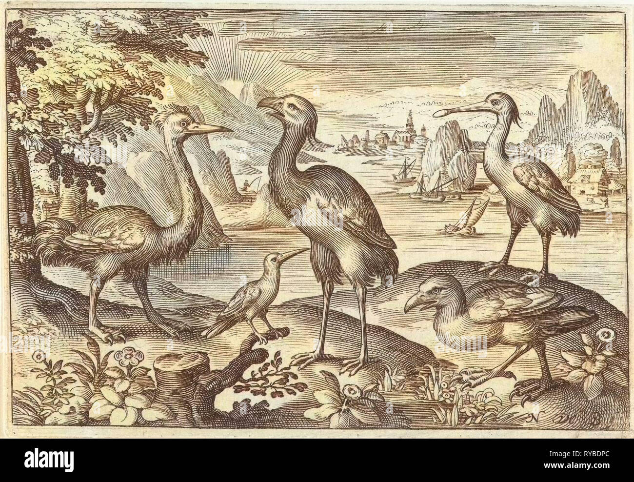 Fünf Vögel einschließlich Löffler, Nicolaes de Bruyn, 1594 Stockfoto