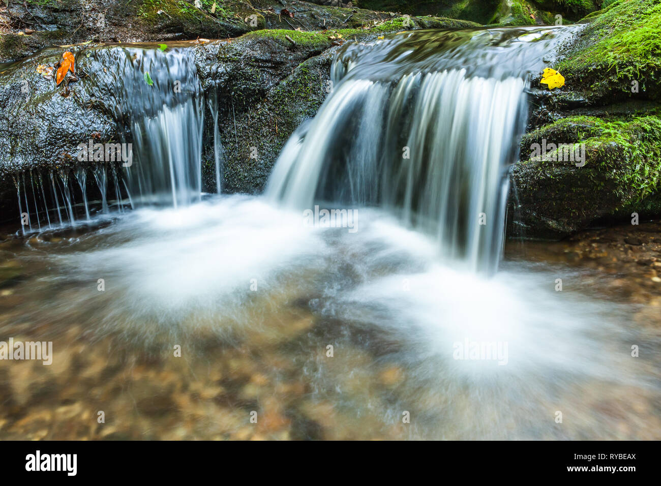 Schöne, ruhige twin Wasserfälle übersicht Wasser Bewegung mit frischen grünen Moos, bunten Herbstlaub planschen in einem kleinen Bach in Georgien. Stockfoto