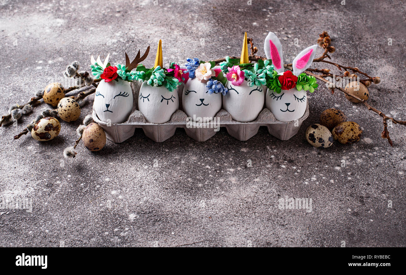 Hase katze -Fotos und -Bildmaterial in hoher Auflösung – Alamy