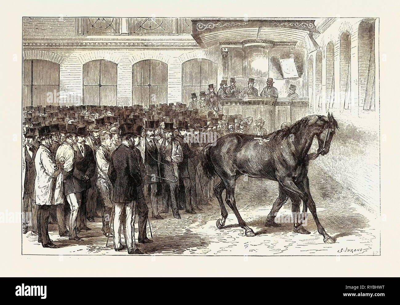 Verkauf der Pferde der Zehnten Husaren im Tattersall's: 'Crusader' unter den Hammer Stockfoto