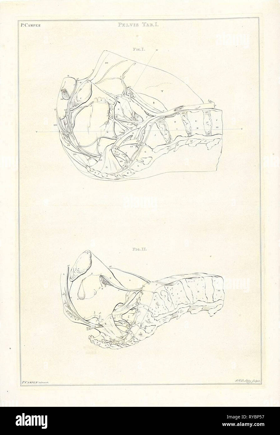 Anatomie des Beckens, mit Zahlen, Jacob van der Schley, 1762 Stockfoto