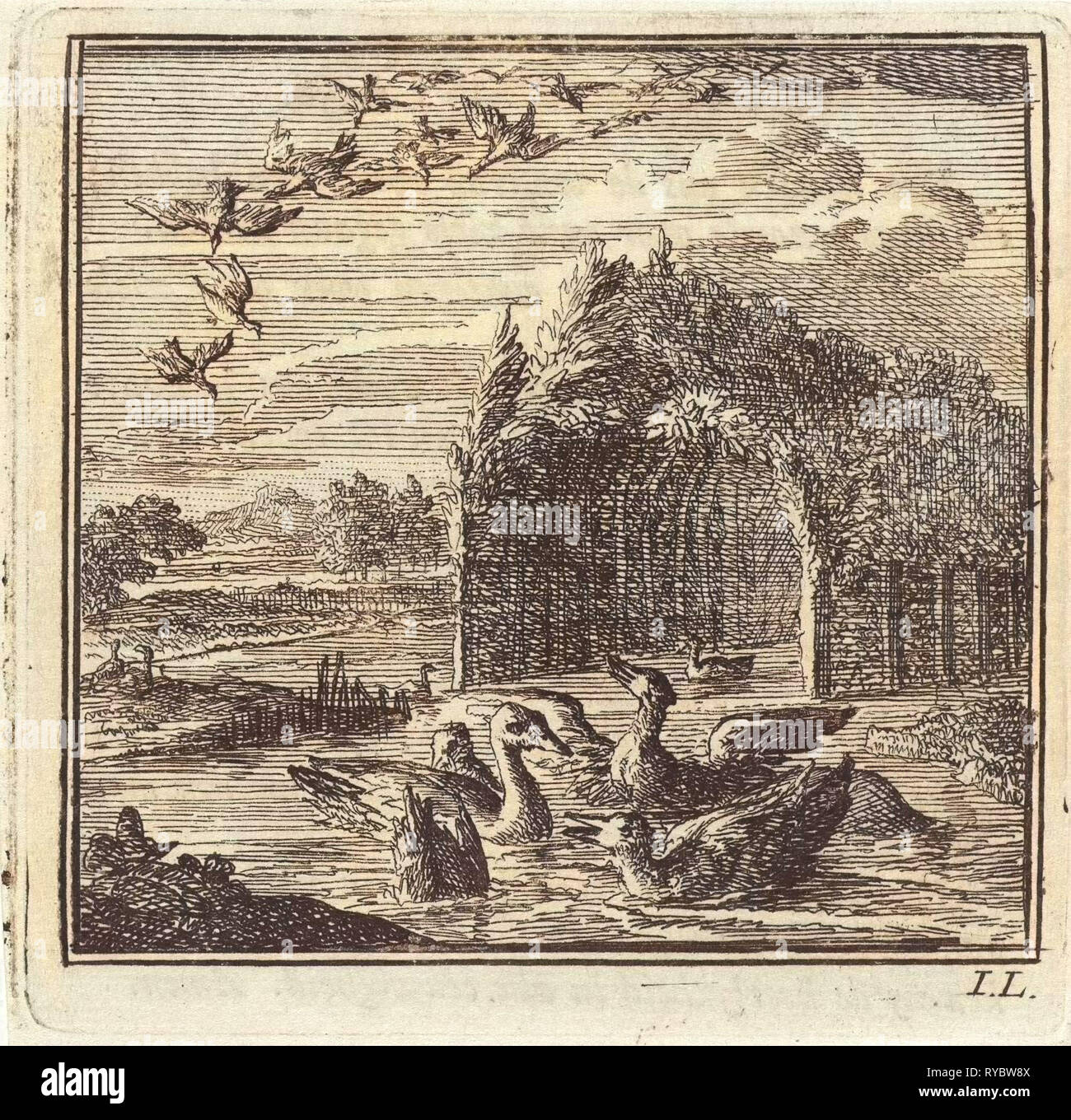 Wild- und Enten, Jan Luyken, Mi. Pieter Arentsz & Cornelis van der Sys (II), 1711 Stockfoto