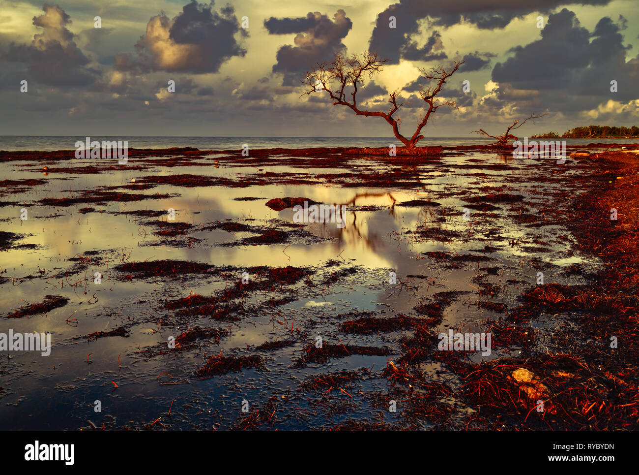Sonnenaufgang am Alten Bahia Honda Bridge in den Florida Keys Stockfoto