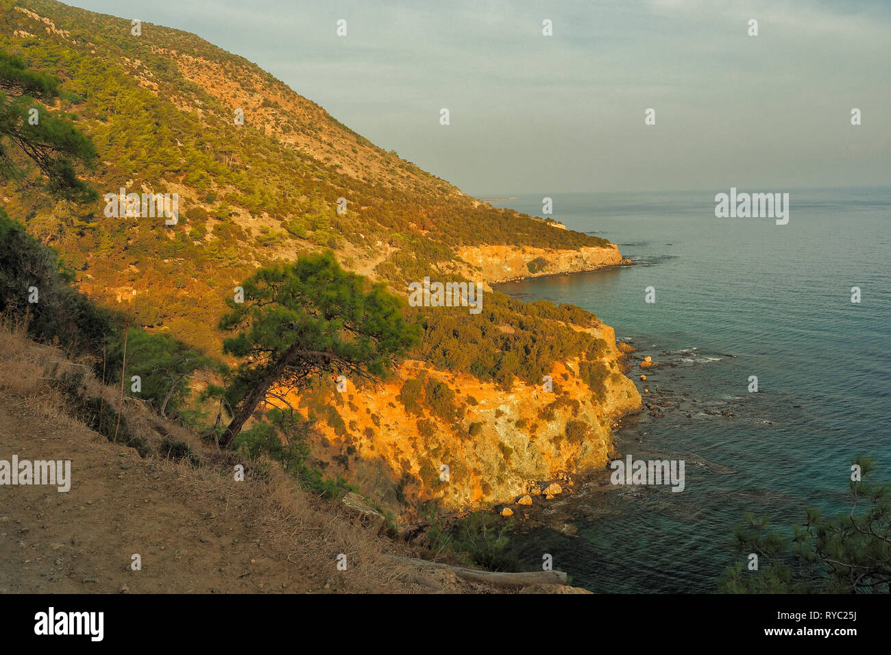 Akamas Halbinsel typischen Landschaft. Zypern. Stockfoto