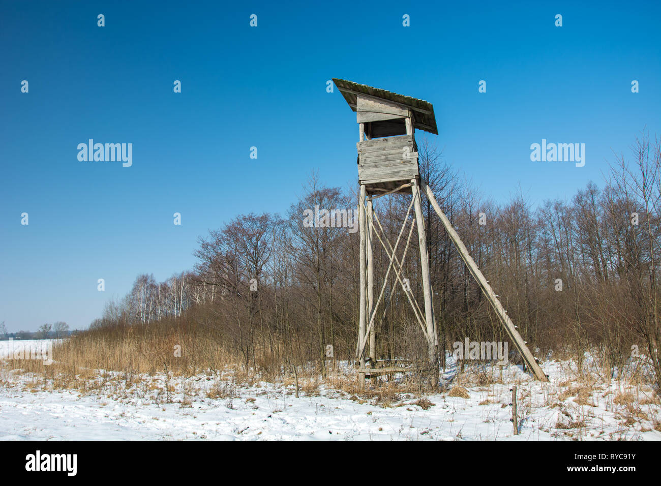 Hölzerne Kanzel für Jäger vor dem Wald und wolkenlosen blauen Himmel - Winter Blick Stockfoto