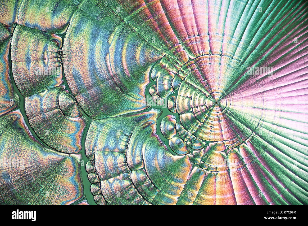 Wissenschaft und Kunst Dies ist Ascorbinsäure, bekannt als Vitamin C, in kristallisierter Form fotografiert bekannt Stockfoto