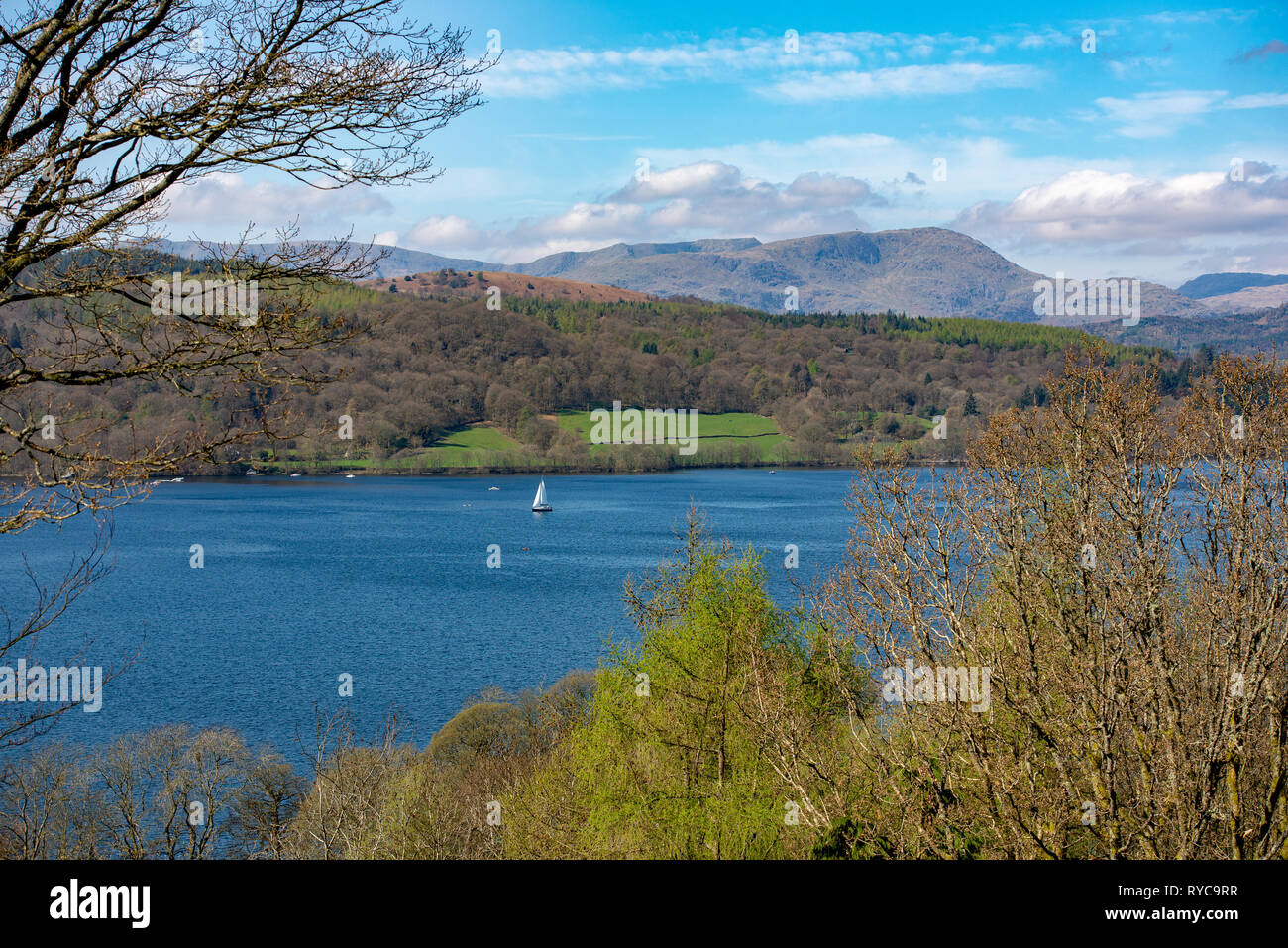 Blick auf den Lake Windermere's Queen Adelaid Hill, Windermere, Cumbria Lake District. Stockfoto