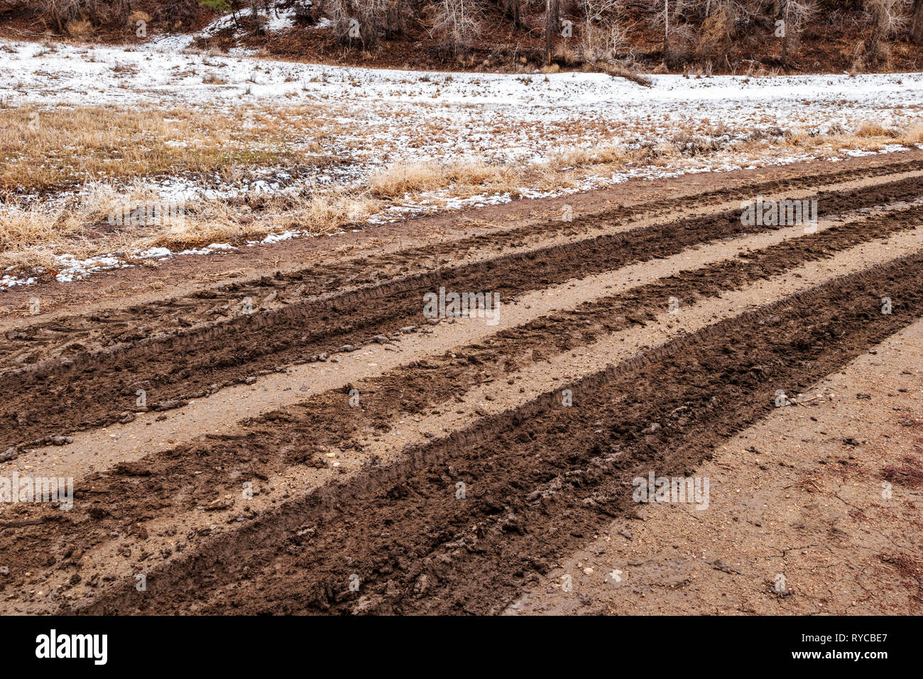 Schlammigen Spuren auf einer Ranch dirt road; Colorado; USA Stockfoto