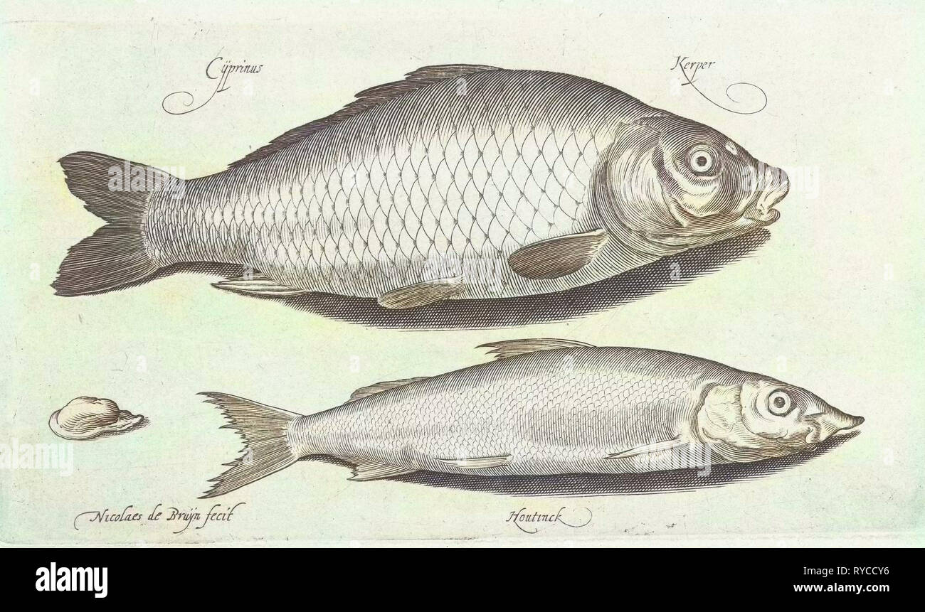Karpfen und Weißfisch, Nicolaes de Bruyn, 1581-1656 Stockfoto