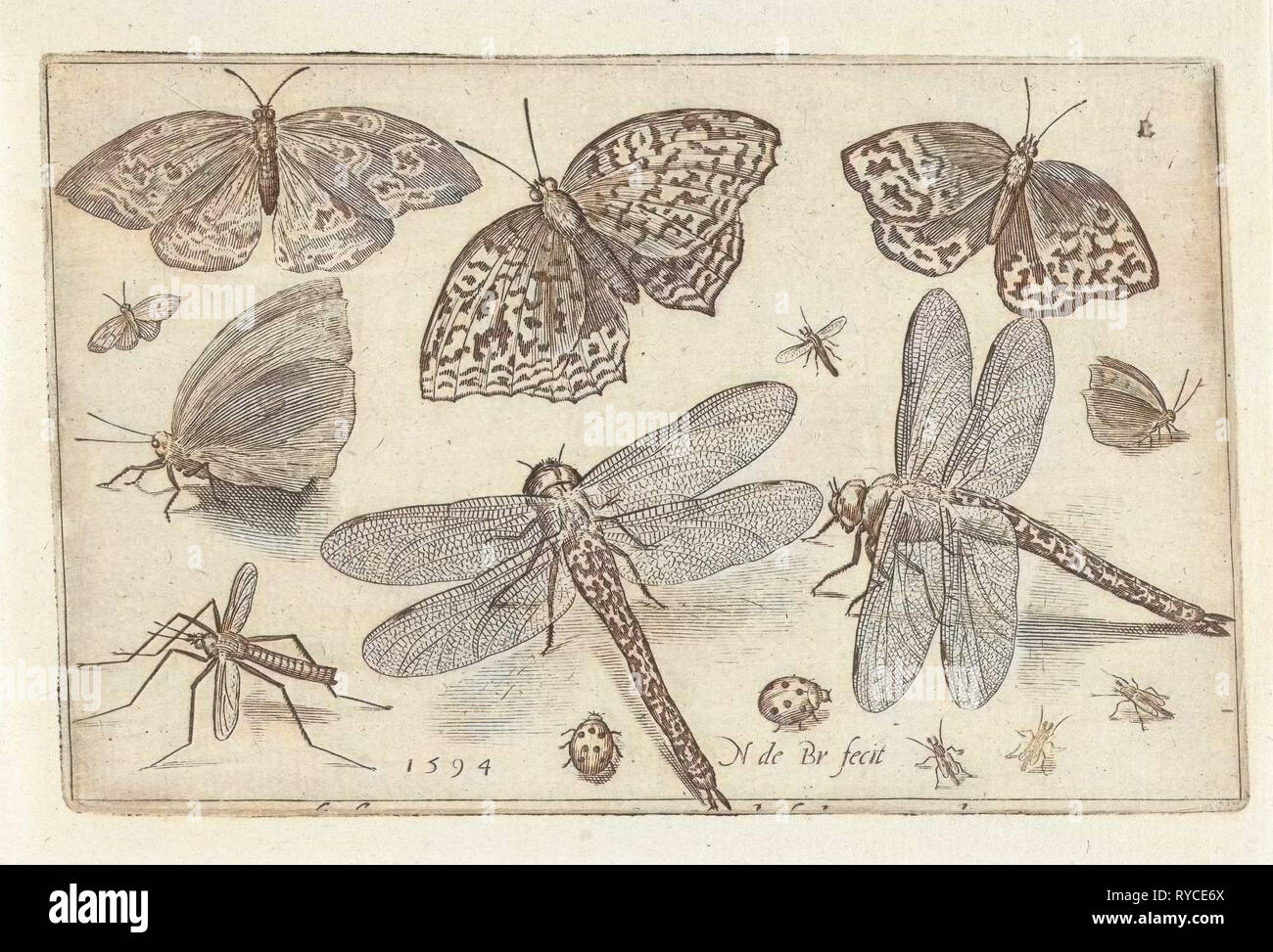 Schmetterlinge und Libellen, Nicolaes de Bruyn, 1594 Stockfoto