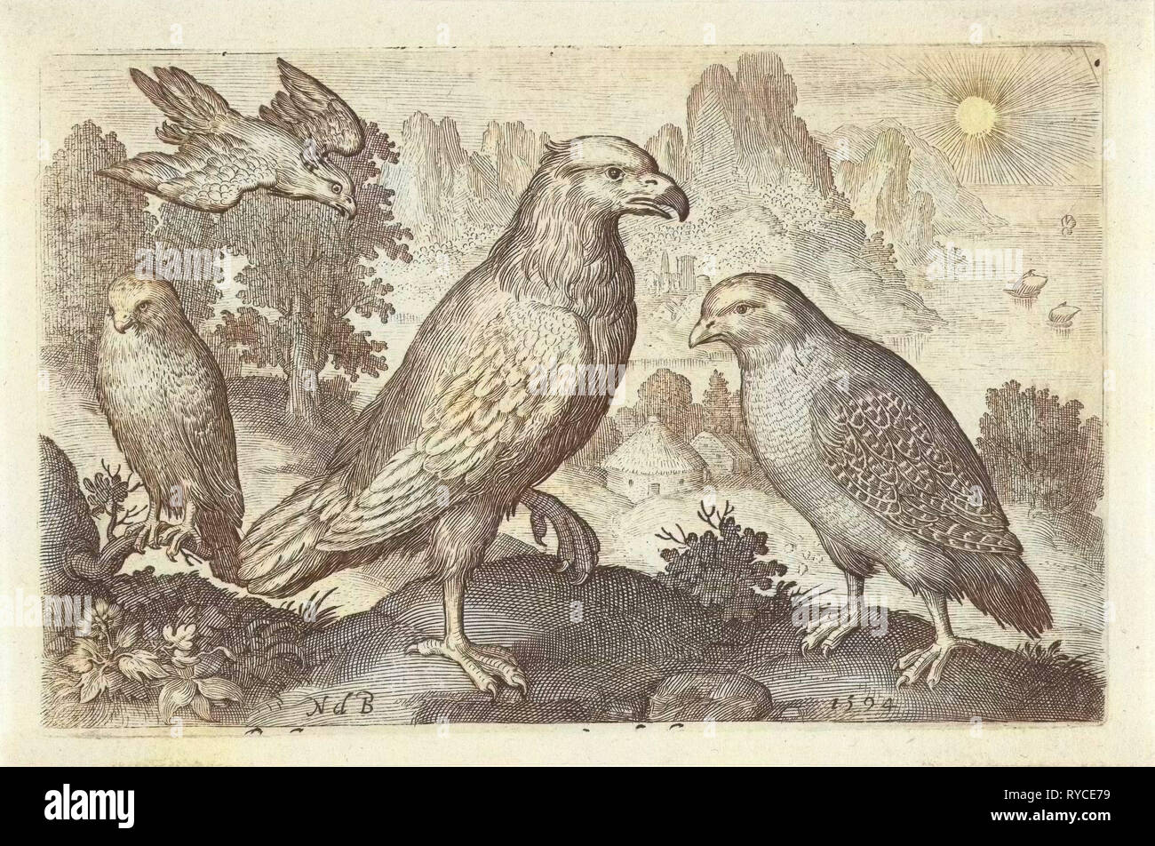 Adler und andere Greifvögel, Nicolaes de Bruyn, 1594 Stockfoto