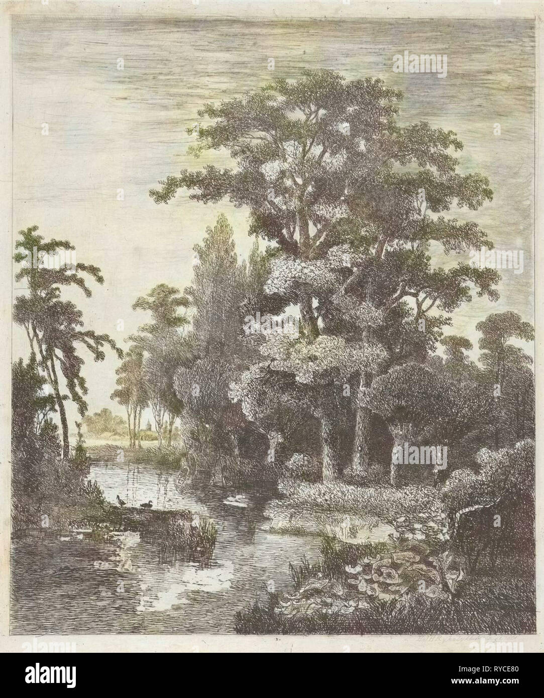 Wald-Szene mit zwei Enten nisten in einem Fluss, Hermanus Jan Hendrik van Rijkelijkhuysen, 1861 Stockfoto