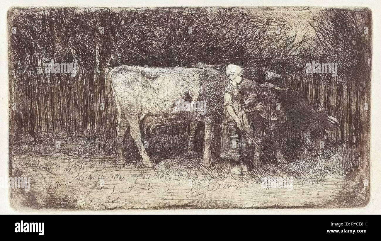Mädchen mit den Kühen, Anton Mauve, 1848-1888 Stockfoto