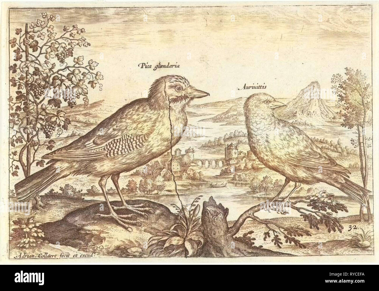 Zwei Vögel in einer Landschaft, Adriaen Collaert, 1598-1602 Stockfoto