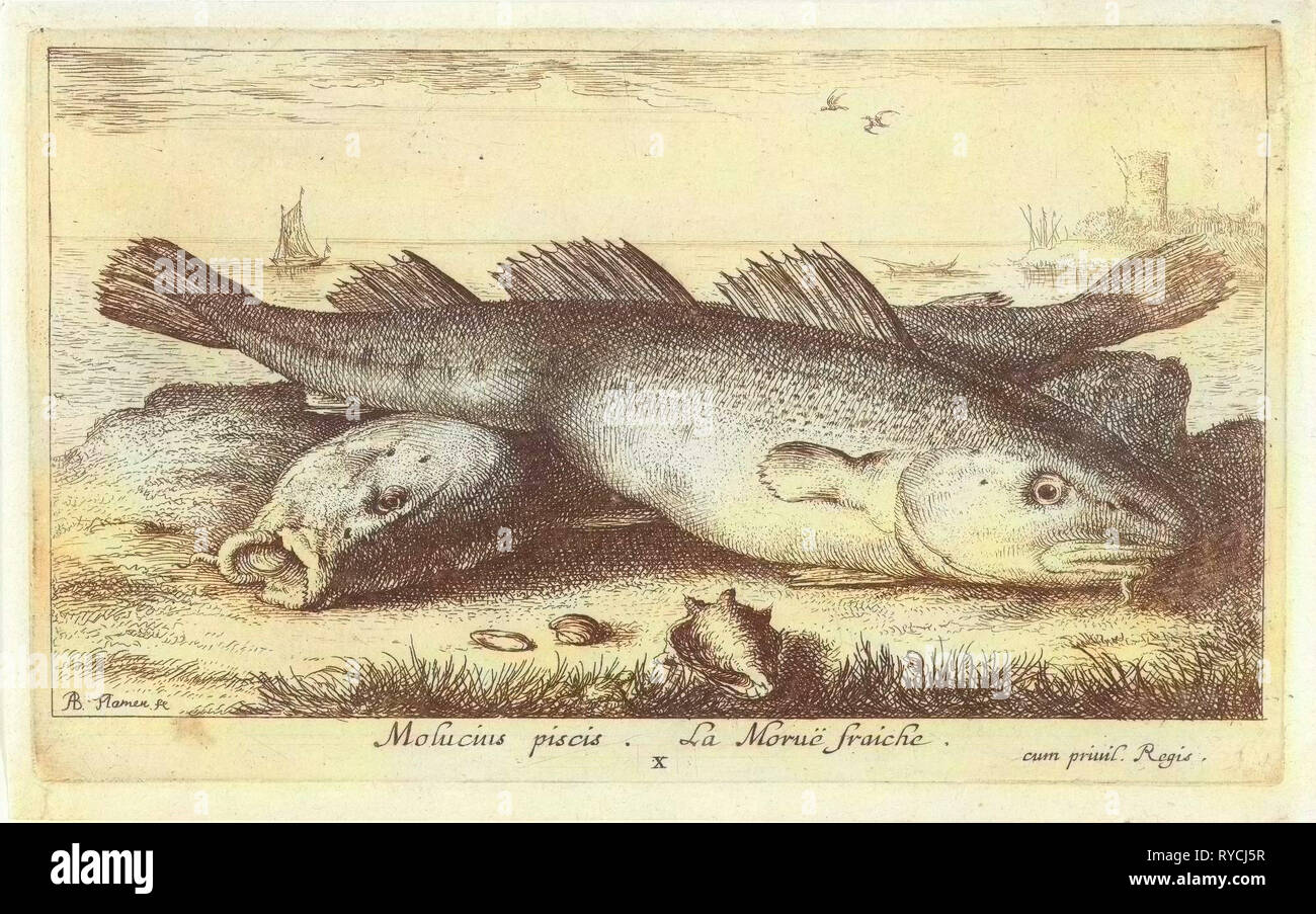 Zwei Kabeljau am Strand, Albert Flamen, 1664 Stockfoto