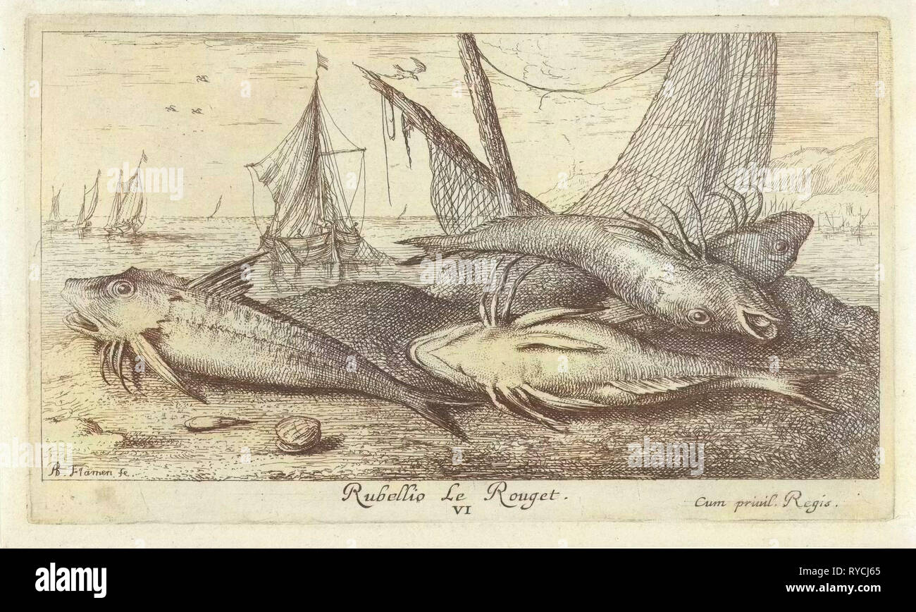 Fisch am Strand, Albert Flamen, 1664 Stockfoto