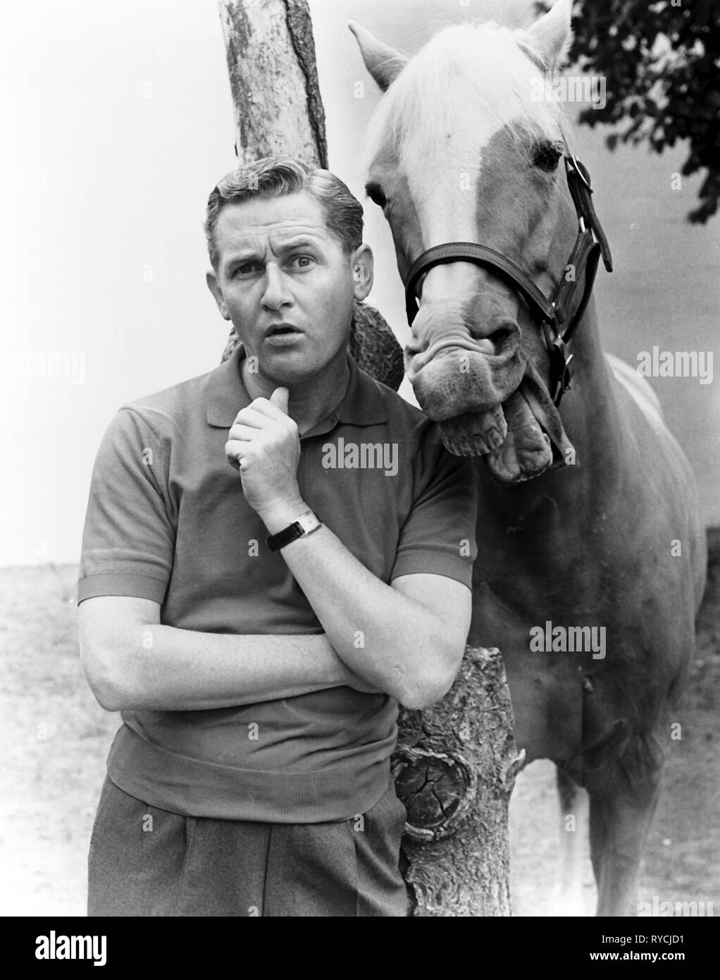 ALAN YOUNG, MISTER ED, MISTER ED, 1961 Stockfoto