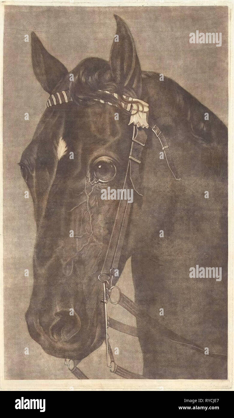 Kopf eines Pferdes mit einem Zaum, James Newman Hodges, Guy Head, 1796-1821 Stockfoto