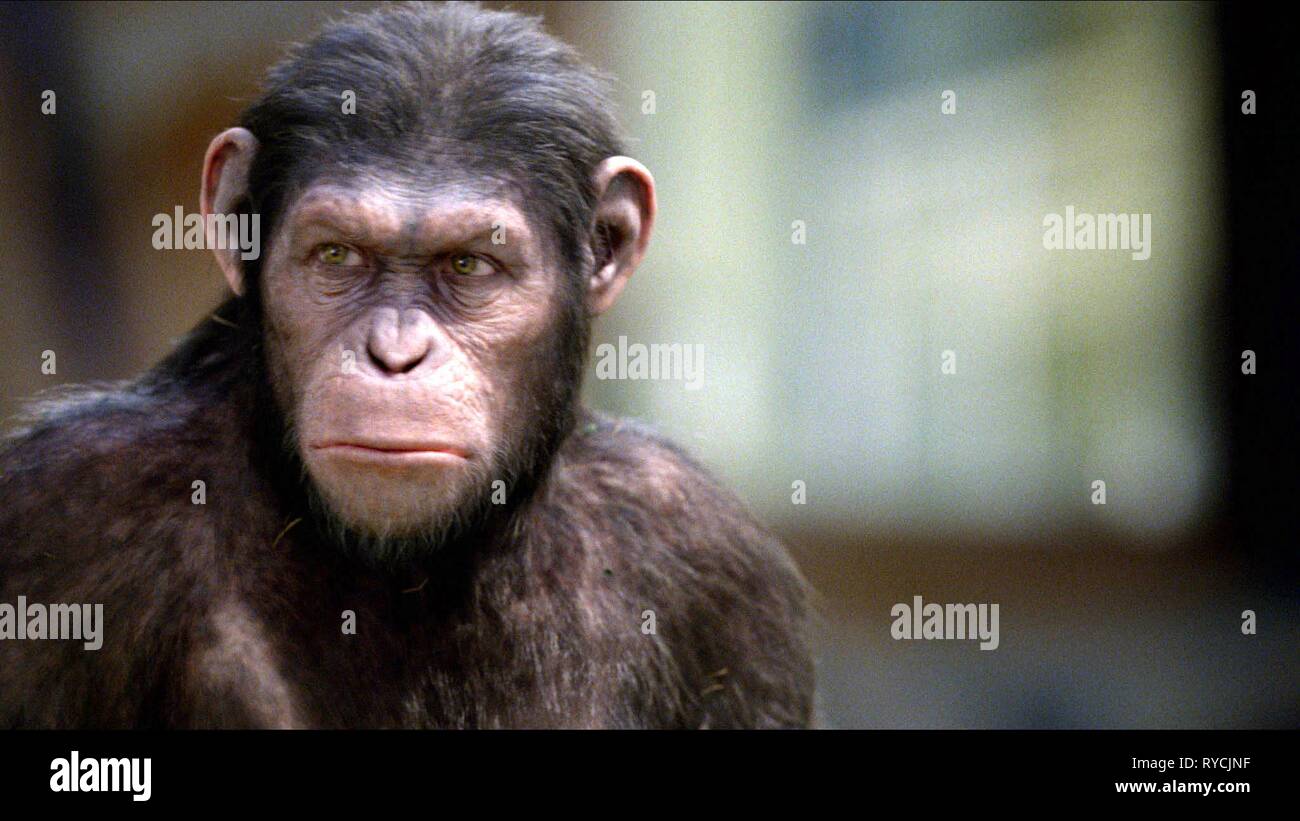 Planet Der Affe Stockfotos Und Bilder Kaufen Alamy
