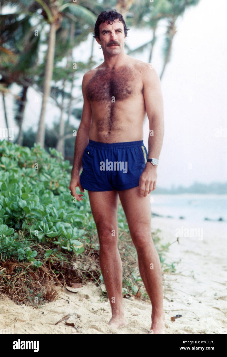 TOM SELLECK, MAGNUM P.I., 1980 Stockfotografie - Alamy