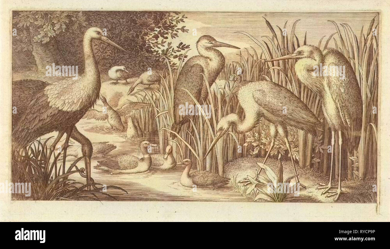Störche und Enten in einem Teich, Jan van Londerseel, 1580-1625 Stockfoto