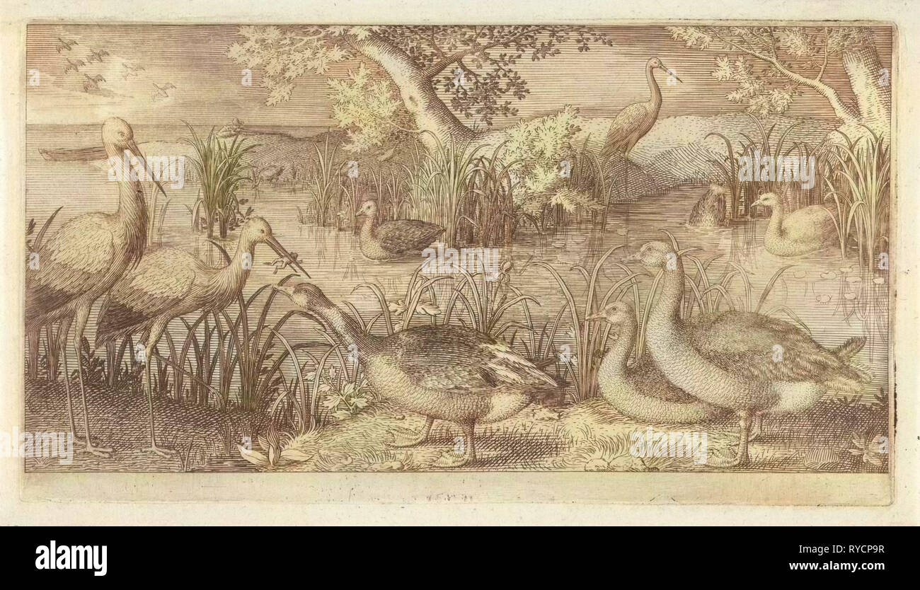 Wasservögel in einem Teich, van Jan Londerseel, 1580-1625 Stockfoto